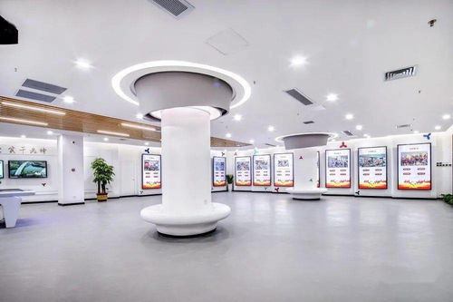 宝鹰精品 推动党建与科技深度融合，打造红色家园——深圳市龙岗区党群服务中心的创新实践